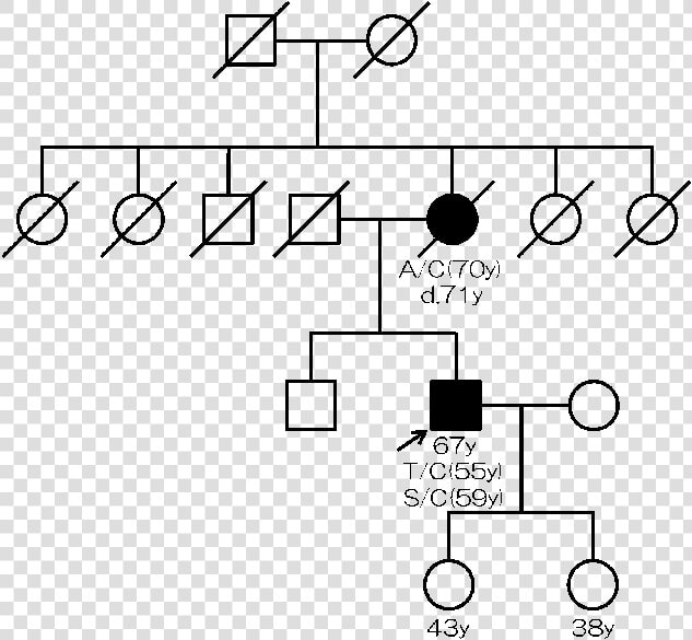 Diode De Roue Libre  HD Png DownloadTransparent PNG