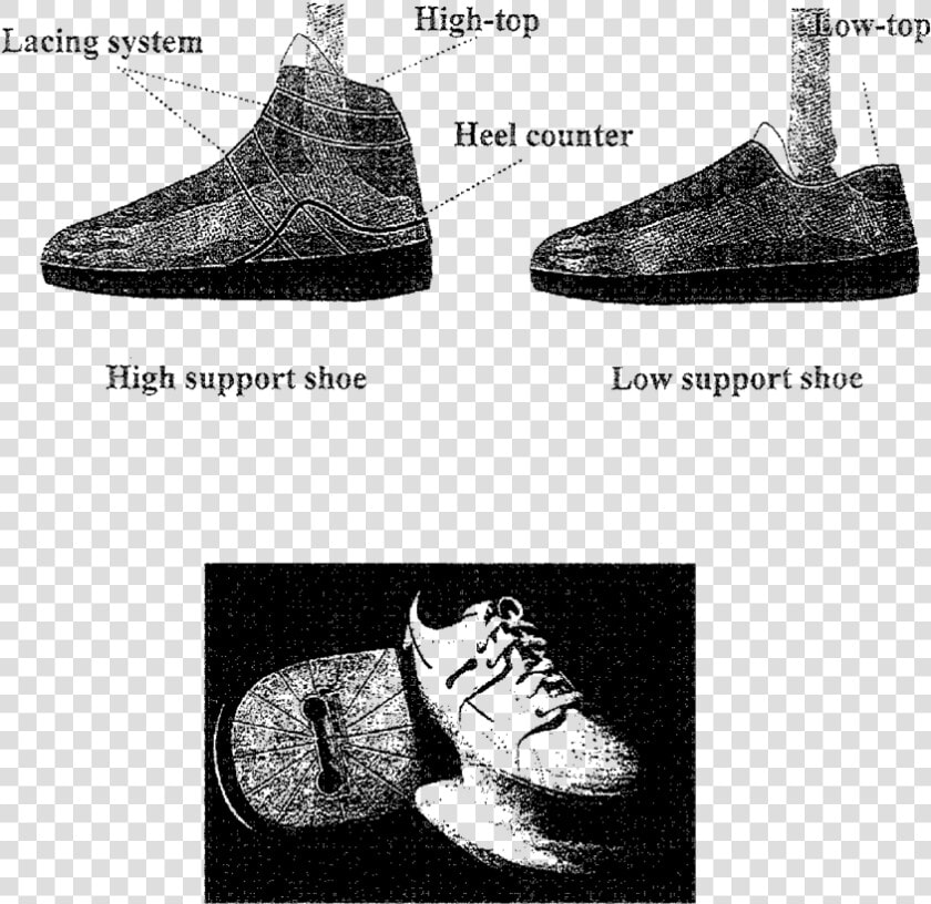 2 Design Of Sports Shoes For Enhanced Performance Variation   Sneakers  HD Png DownloadTransparent PNG