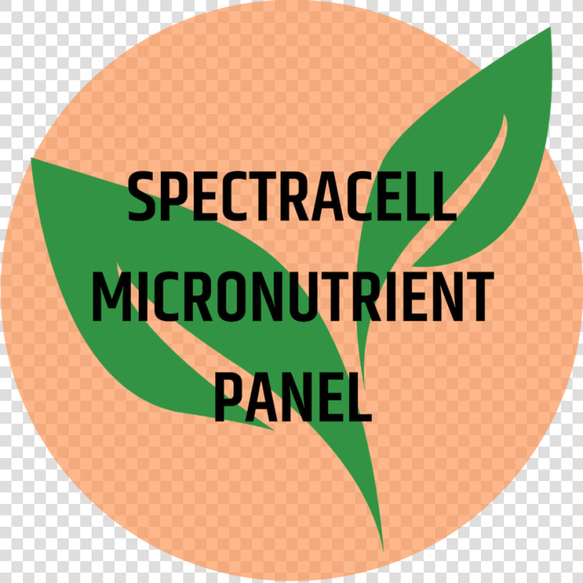 Spectracell Micronutrient Panel   Circle  HD Png DownloadTransparent PNG