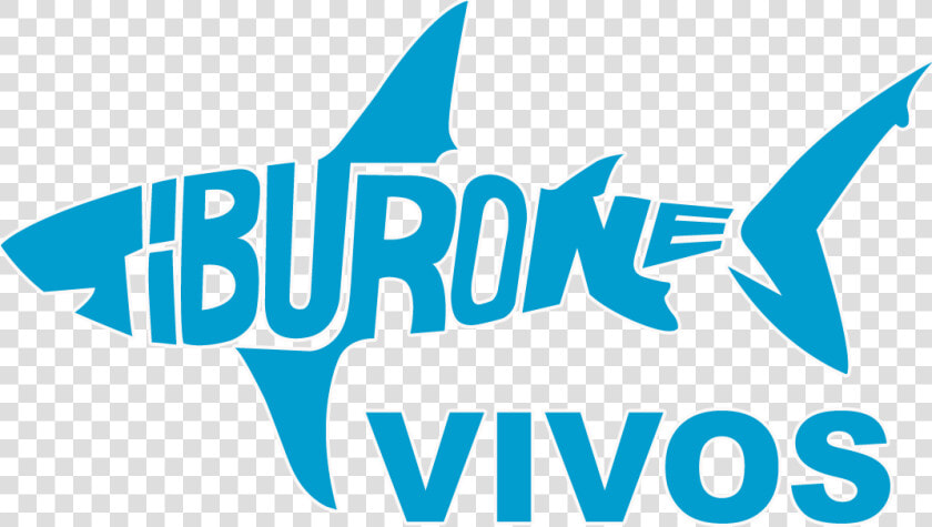 Incopesca Declared The Whale Shark Of Fishing Interest   Tiburones Vivos  HD Png DownloadTransparent PNG