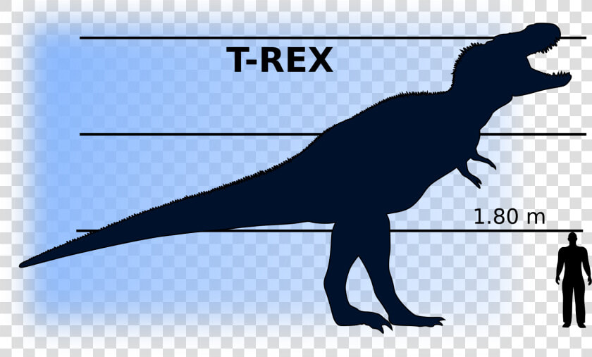 T rex Vs Man Clip Arts   Dinosaur Compared To Man  HD Png DownloadTransparent PNG