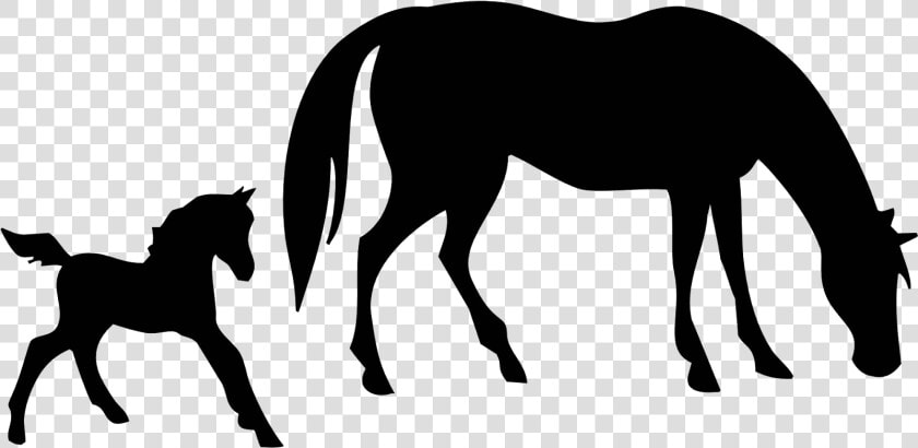 Free Mare And Foal Horse Clipart   Horse And Foal Silhouette  HD Png DownloadTransparent PNG