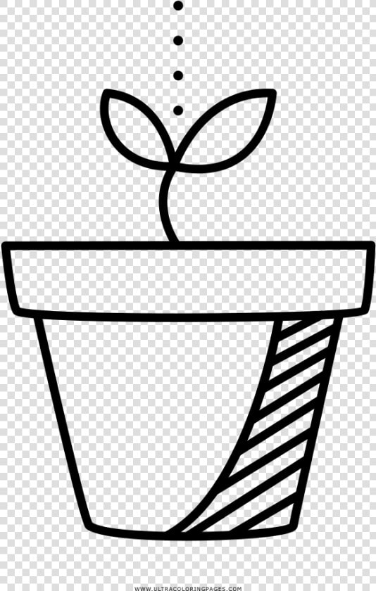 Sprout Coloring Page   Desenho Brotar Para Colorir  HD Png DownloadTransparent PNG