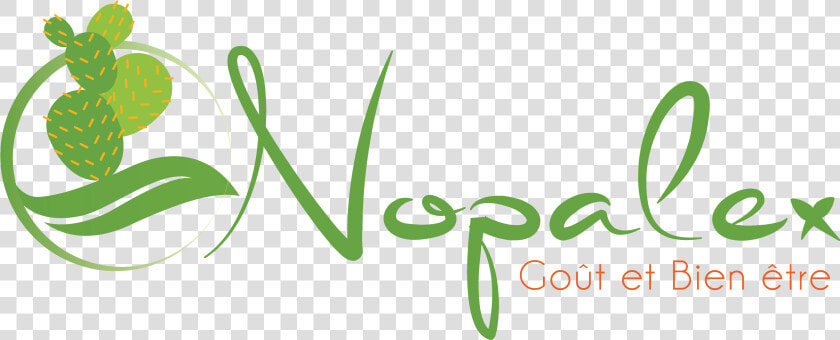 Nopalex maroc  HD Png DownloadTransparent PNG