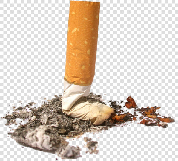 Cigarette Png Free Download   Don T Litter Cigarette Butts  Transparent PngTransparent PNG