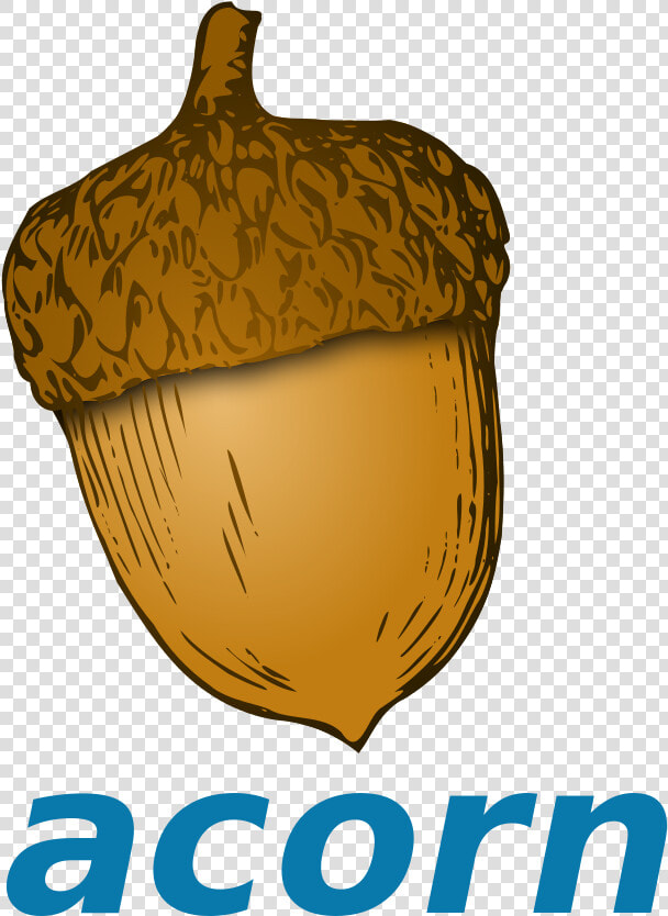 Transparent Acorn Clipart Png   Cartoon Acorn  Png DownloadTransparent PNG