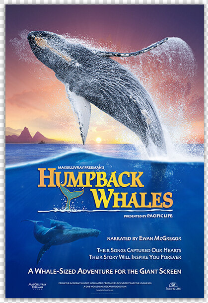 Humpback Whales Poster   Humpback Whales Movie Poster  HD Png DownloadTransparent PNG