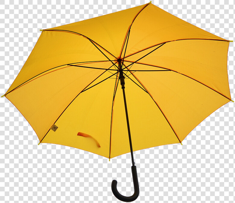 Umbrella Free  Weather  Rain  Screen  Wet  Raindrop   Umbrella  HD Png DownloadTransparent PNG