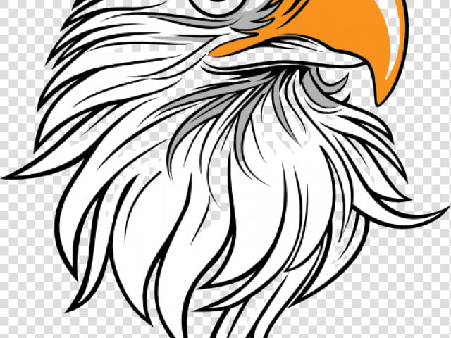 Drawn Bald Eagle Large Eagle   Simple Eagle Drawings  HD Png DownloadTransparent PNG