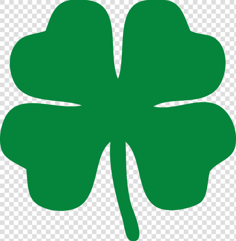 Transparent White Four Leaf Clover Png   Green 4 Leaf Clover  Png DownloadTransparent PNG