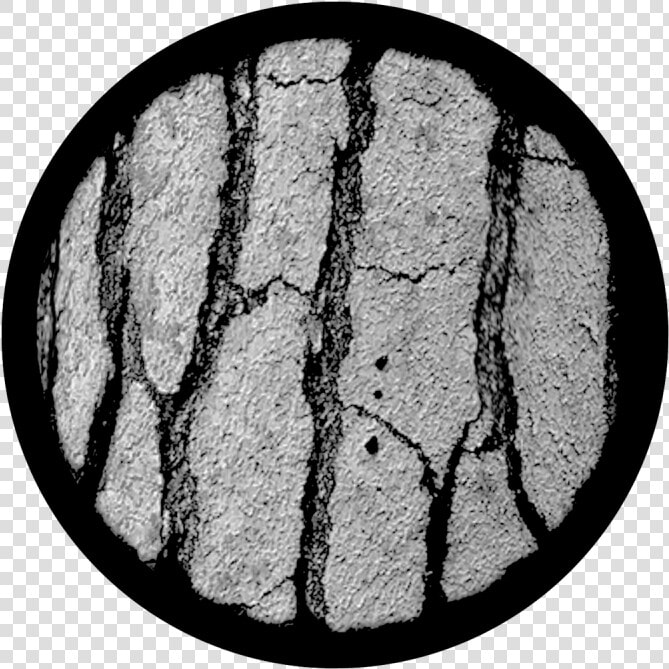 Tree Bark   Cobblestone   Circle  HD Png DownloadTransparent PNG