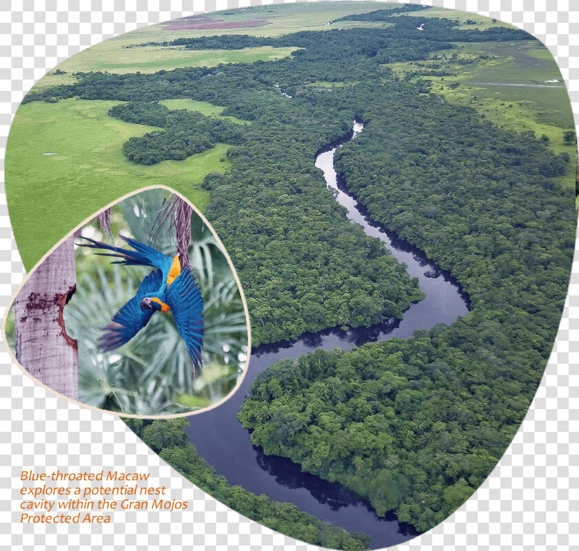 Gran Mojos Protected Area   Aerial Photography  HD Png DownloadTransparent PNG