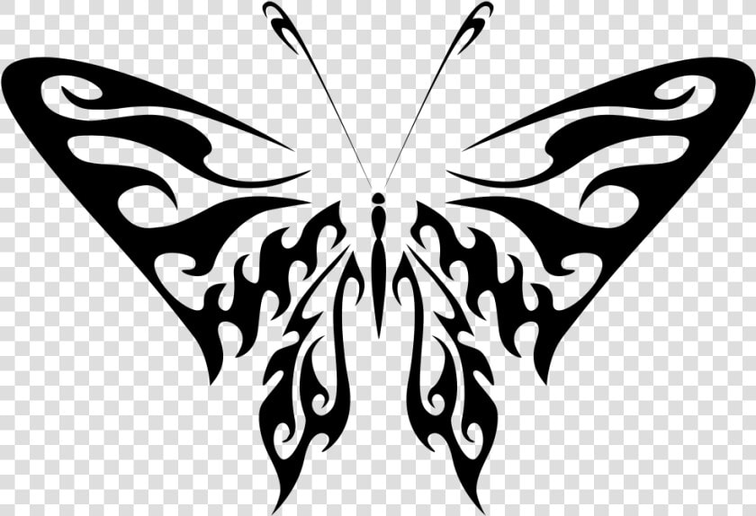 Butterfly Line Art   Clipart Black Drawing Butterfly Egg  HD Png DownloadTransparent PNG