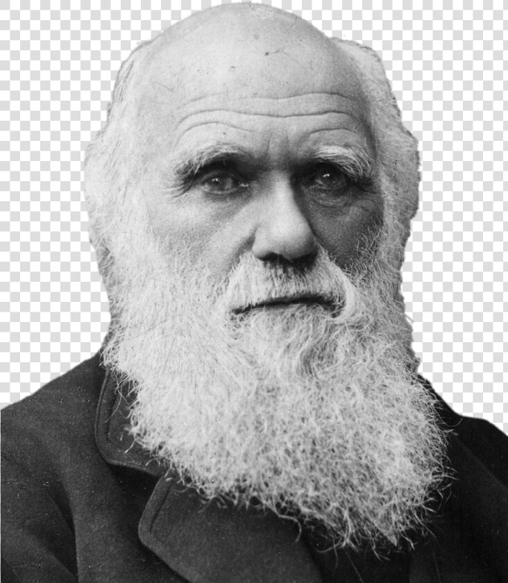 Charles Darwin Portrait   Charles Darwin  HD Png DownloadTransparent PNG