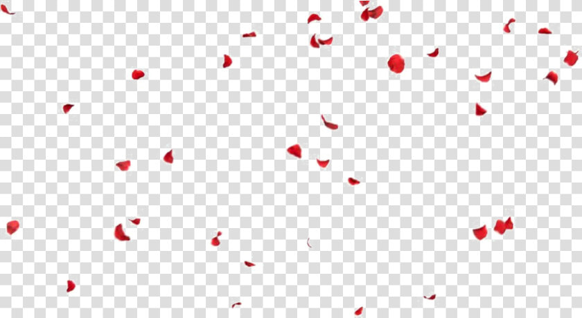 Falling Petals Png File   Falling Rose Petals Png  Transparent PngTransparent PNG