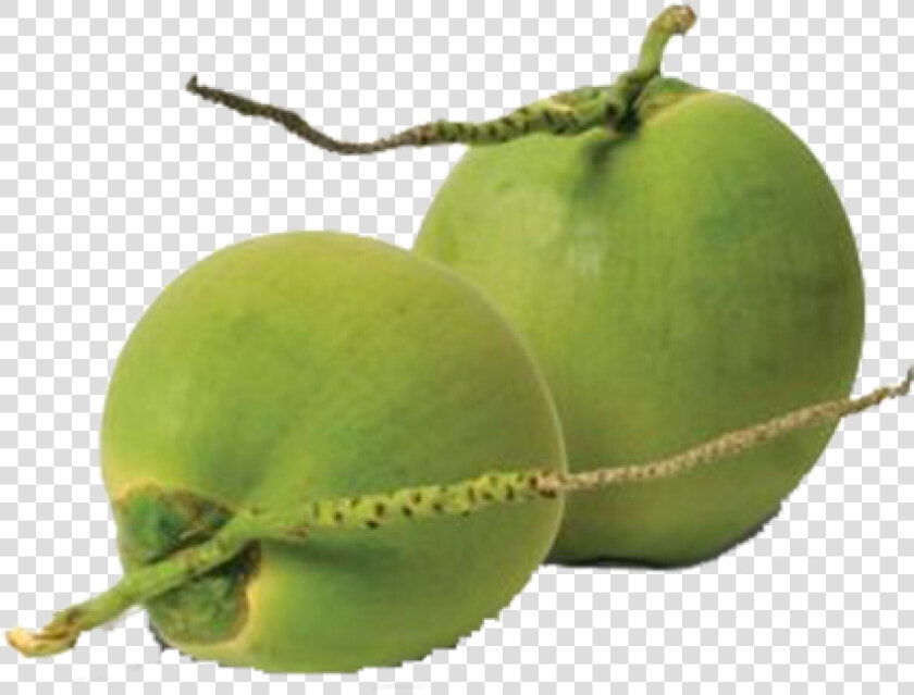 Transparent Tender Coconut Png   Tender Coconut Png  Png DownloadTransparent PNG