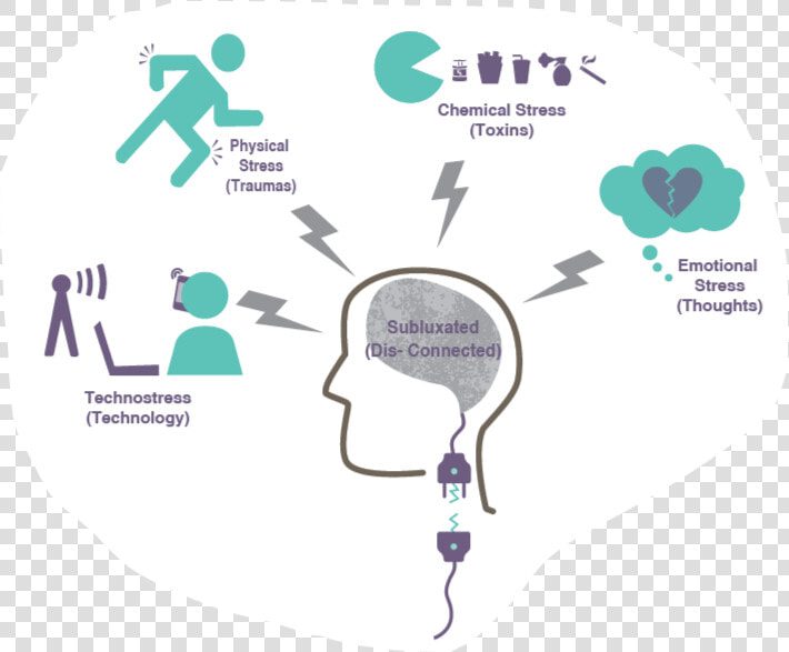 The Four Things That Make Your Brain Feel Nervous  HD Png DownloadTransparent PNG