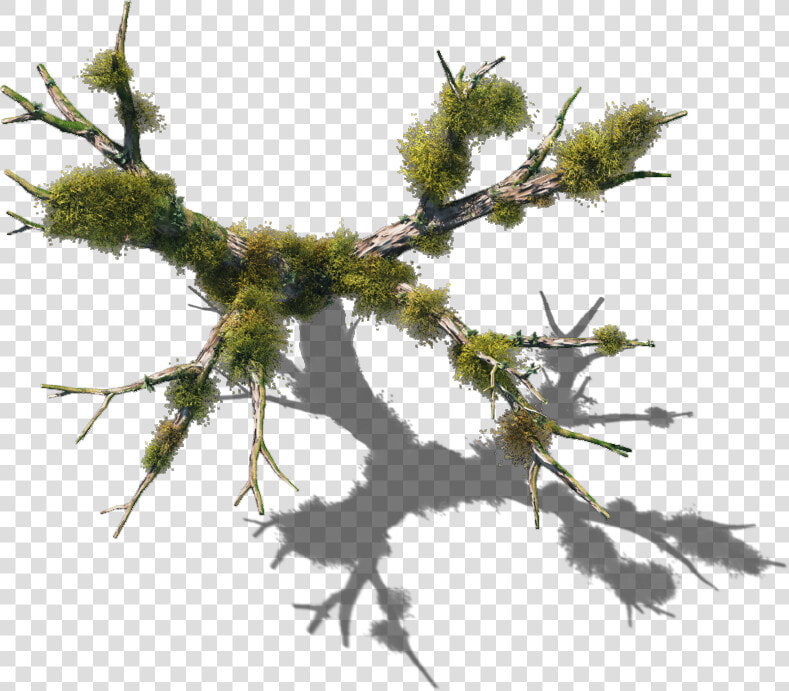 06 Feb   Dundjinni Swamp Tree  HD Png DownloadTransparent PNG