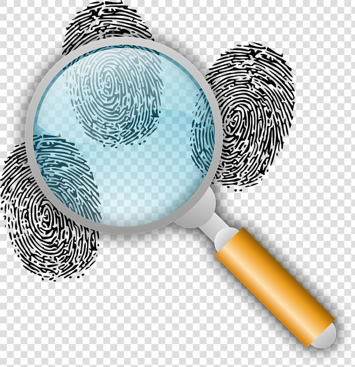 Detective  Clues  Police Work  Find  Fingerprints   Criminal Investigation Clipart  HD Png DownloadTransparent PNG