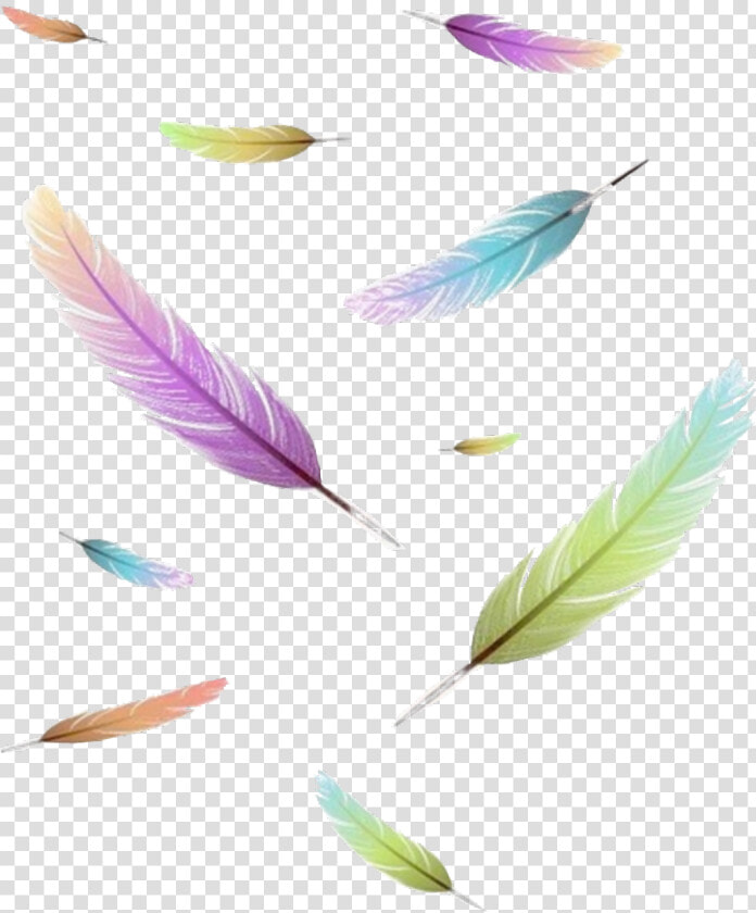  freetoedit  sticker  icon  feder  feather  wrote  write   Feather  HD Png DownloadTransparent PNG