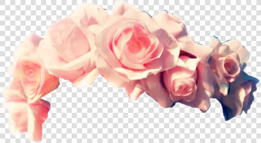 Transparent Pink Flower Crown Png   Flower Crown Transparent Background  Png DownloadTransparent PNG