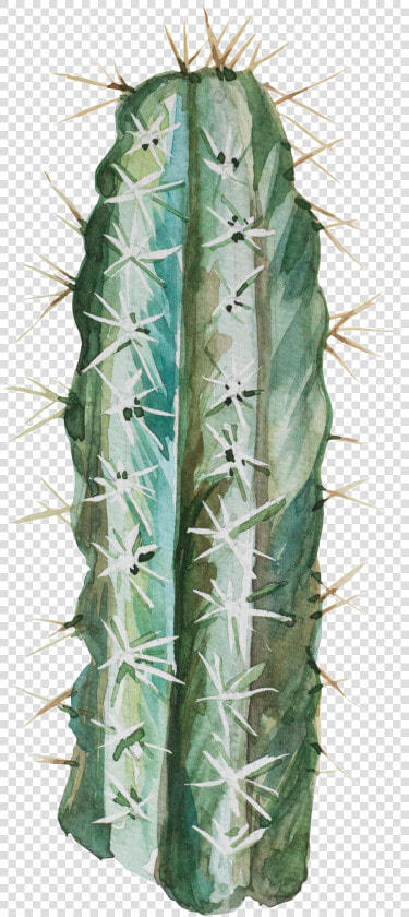 Transparent Desert Bushes Png   San Pedro Cactus  Png DownloadTransparent PNG