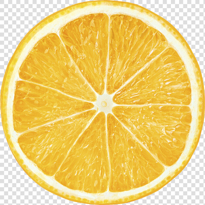 Transparent Lemon Slice Png   Цитрус Картинки  Png DownloadTransparent PNG