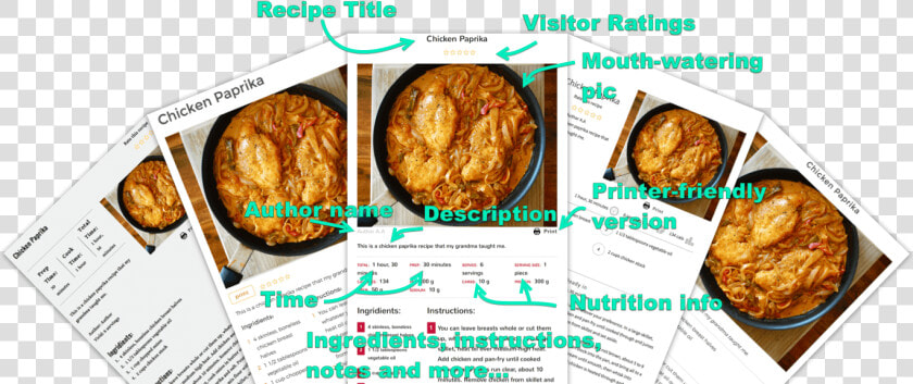 Zip Recipes Is The Wordpress Plugin That Makes Recipe   Satsuma Age  HD Png DownloadTransparent PNG