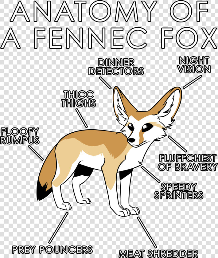 Fennec Fox Png  Transparent PngTransparent PNG