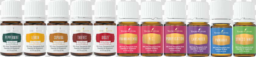 Transparent Essential Oil Png   Young Living Essential Oils Starter Kit Oils  Png DownloadTransparent PNG