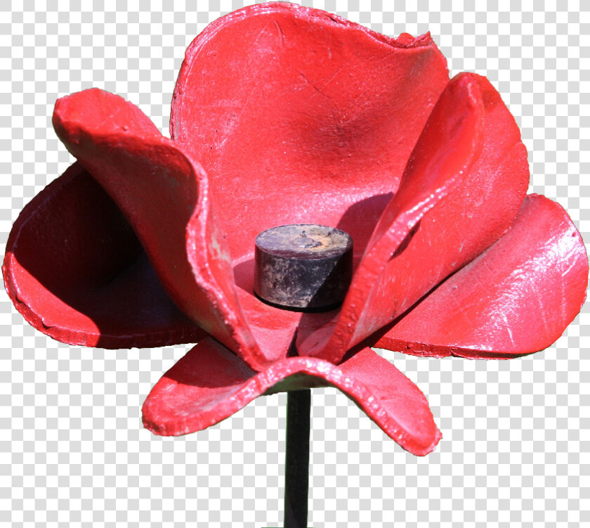 Poppies Blood Swept Lands  HD Png DownloadTransparent PNG