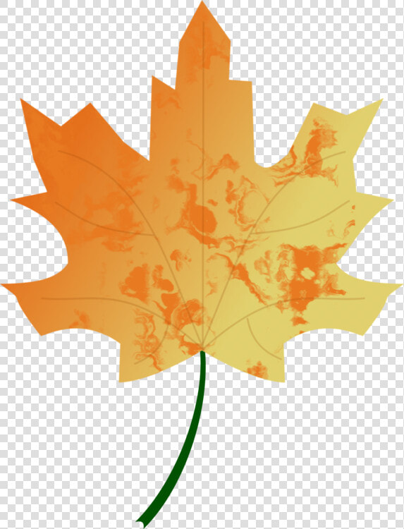 Autumn  Colours  Fall  Leaf  Nature  Seasons  Tree   Png Vector Autumn Leaves  Transparent PngTransparent PNG