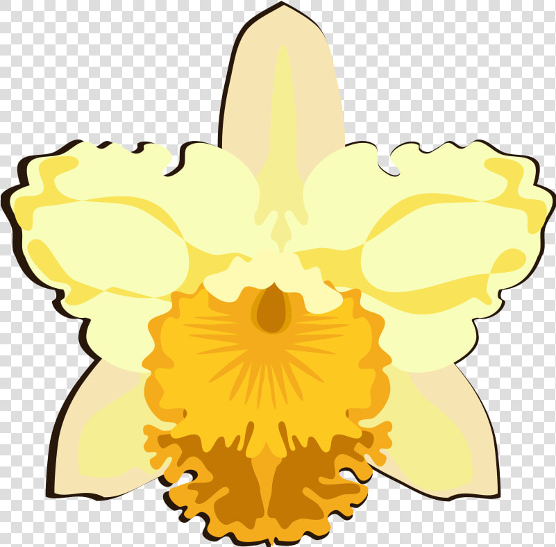 Cattleya 07l   Cattleya Orchids  HD Png DownloadTransparent PNG