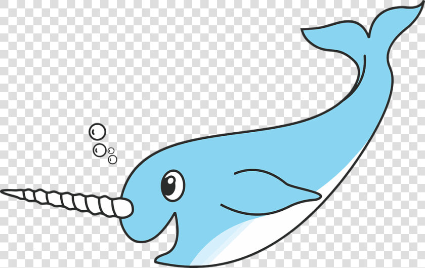 Transparent Arctic Clipart   Cartoon Transparent Background Narwhal  HD Png DownloadTransparent PNG