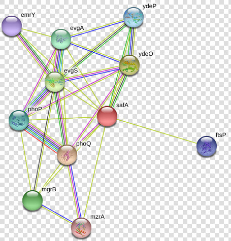 Safa Protein   Circle  HD Png DownloadTransparent PNG