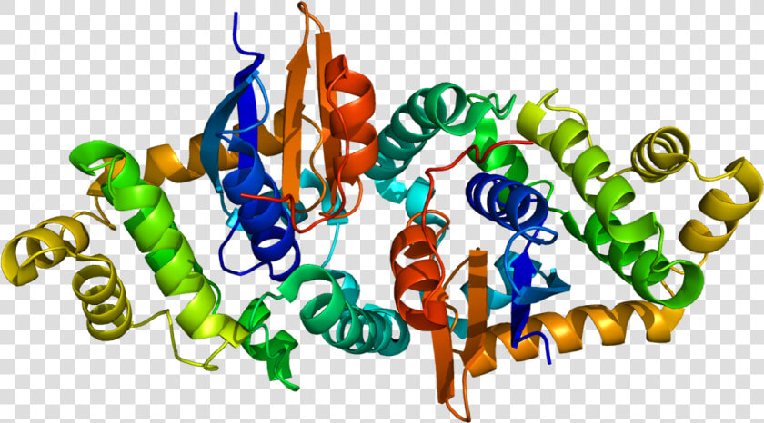 Protein Gstk1 Pdb 1yzx  HD Png DownloadTransparent PNG