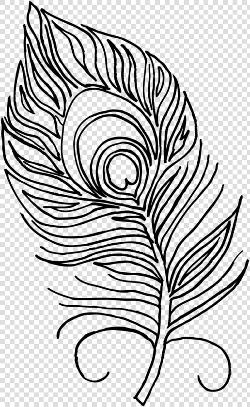 Unique Turkey Feathers Coloring Pages Drawing At Getdrawings   Peacock Feather For Colouring  HD Png DownloadTransparent PNG