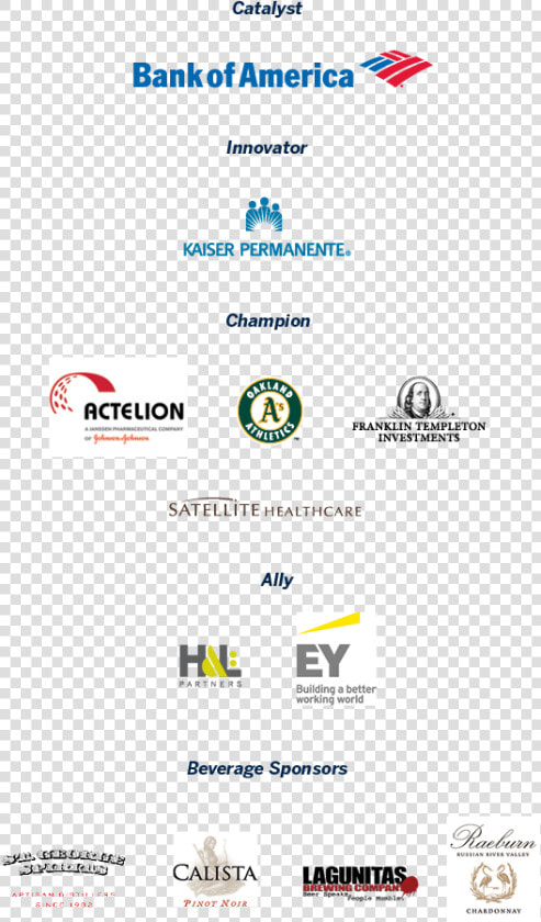 Graphic Of All Sponsors For Ziggurat Including   Bank Of America  HD Png DownloadTransparent PNG