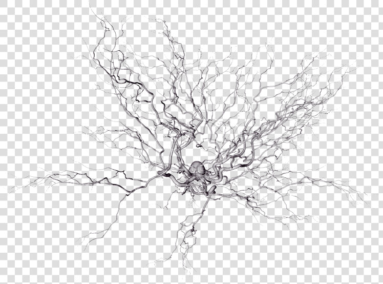 Neural Network Electron Microscope  HD Png DownloadTransparent PNG