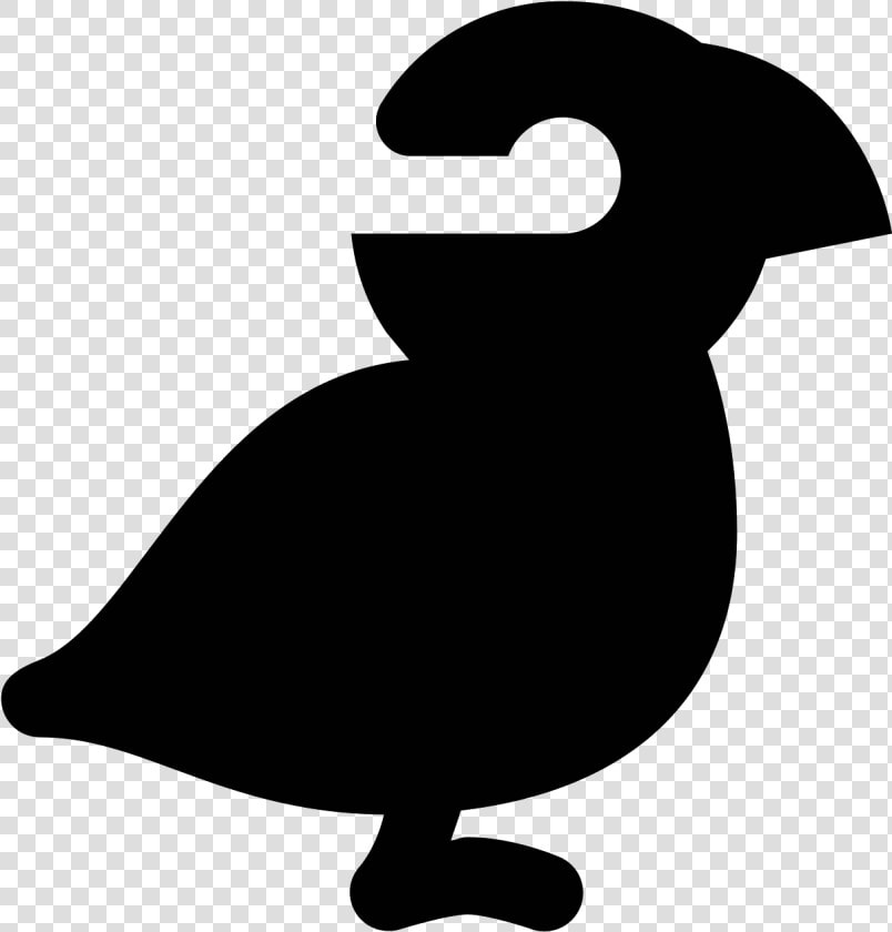 Transparent Puffin Png   Seabird  Png DownloadTransparent PNG