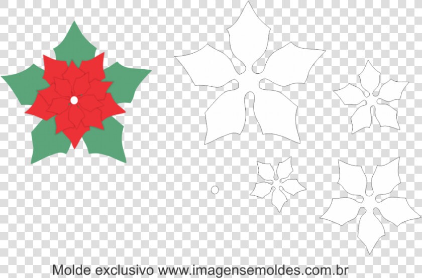 Molde Flor De Natal  HD Png DownloadTransparent PNG