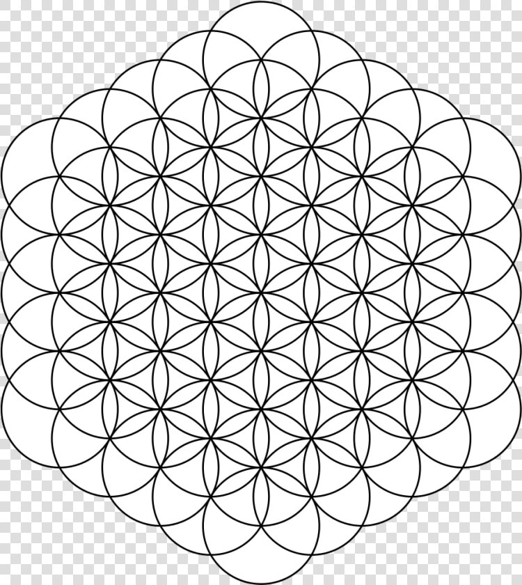 Flower Of Life 61circles   Flower Of Life Png  Transparent PngTransparent PNG