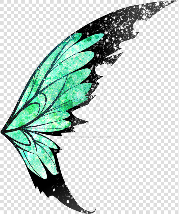 Green Fairy Wings Png   Fairy Wings Transparent Png  Png DownloadTransparent PNG