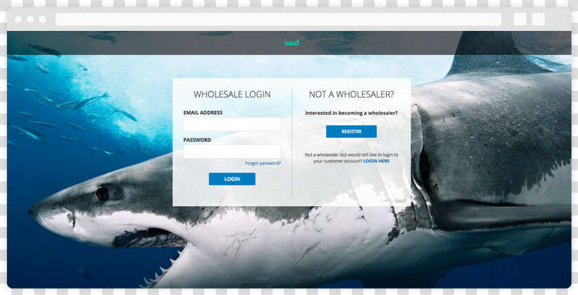 B2b Login Page   Facebook Cover Photo Shark  HD Png DownloadTransparent PNG