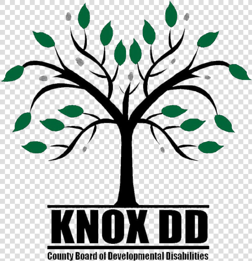 Day logo woody Plant graphics clip Art graphic Design plant   Big Picnic Where To Get Tickets  HD Png DownloadTransparent PNG