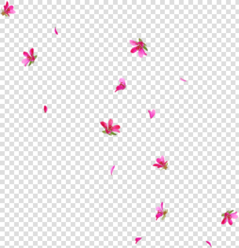  rain  interesting  art  tumblr  pngs  png  flowers   Transparent Flower Rain Png  Png DownloadTransparent PNG