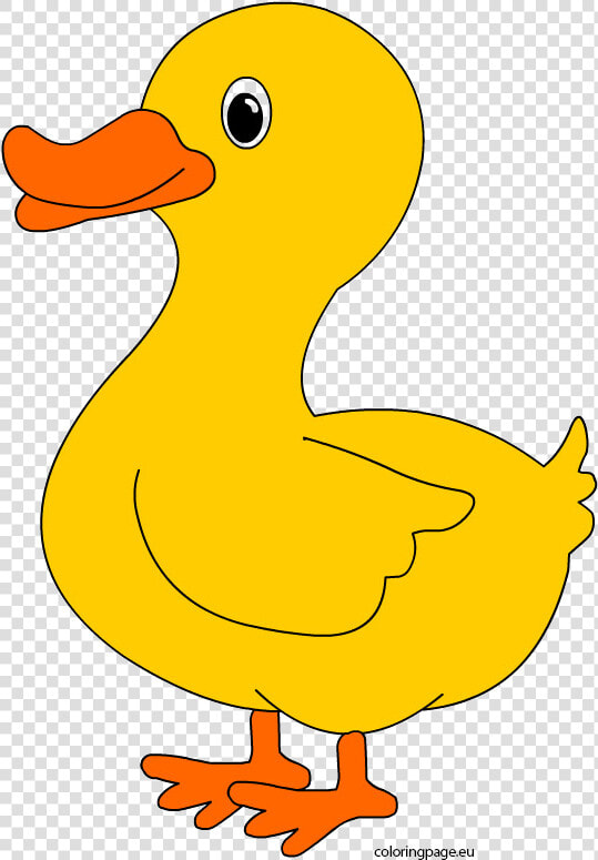 Transparent Free Duck Clipart   Cute Duck Clip Art  HD Png DownloadTransparent PNG