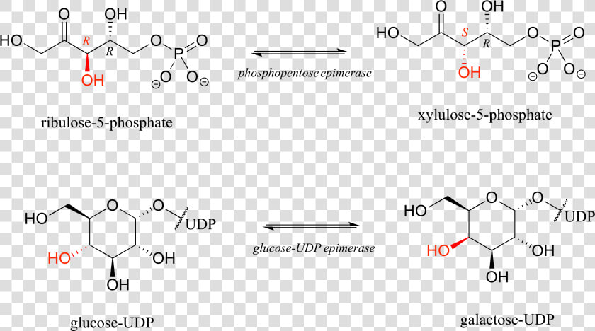 Reaction Of Chiral Molecules Pdf  HD Png DownloadTransparent PNG