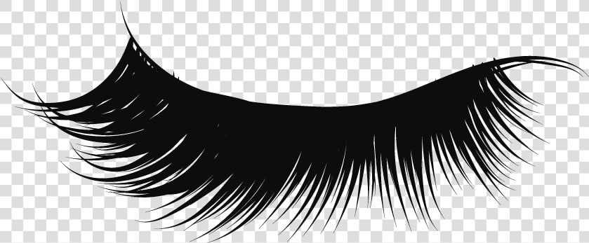 Eyelash Extension Singapore   Transparent Background Eyelashes Png  Png DownloadTransparent PNG