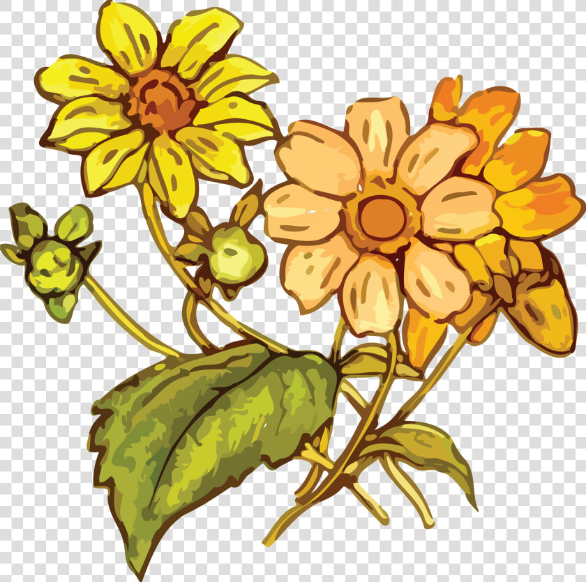 Transparent Wildflowers Png   Yellow Flower Drawing Png  Png DownloadTransparent PNG